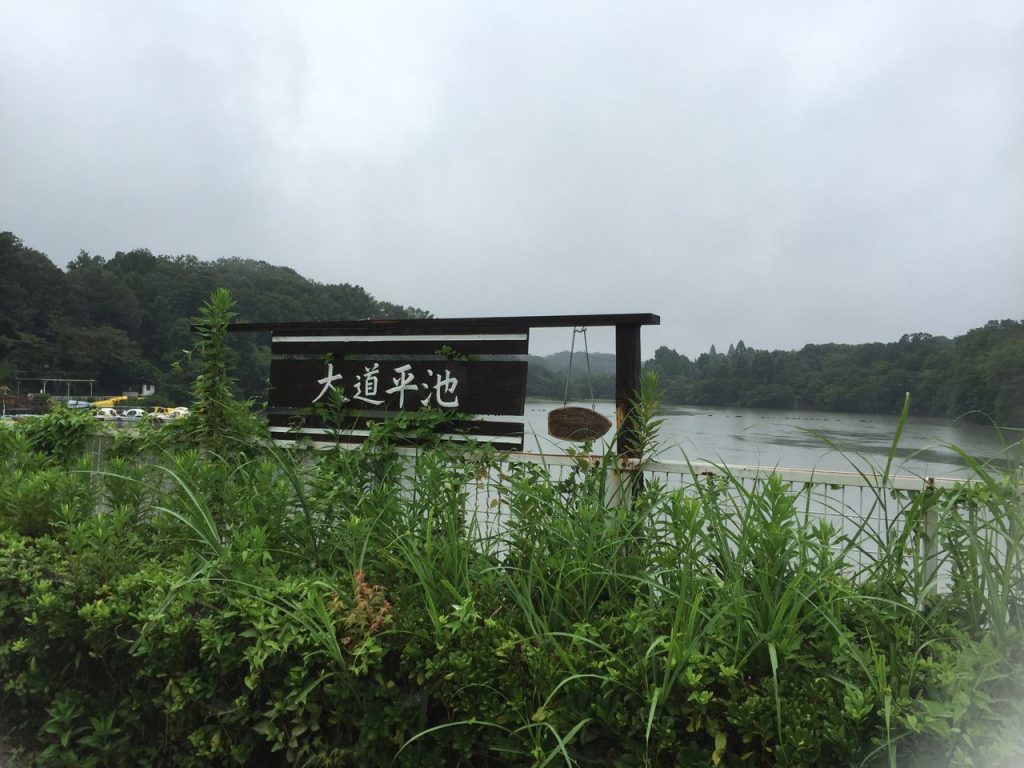 愛知県森林公園にある大道平池