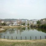樋之池公園プール(手っちゃん)