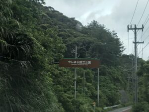 死体が上がる海岸