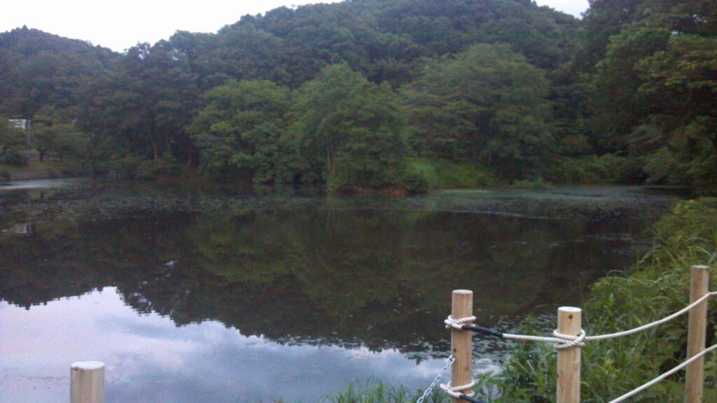 秋葉湖