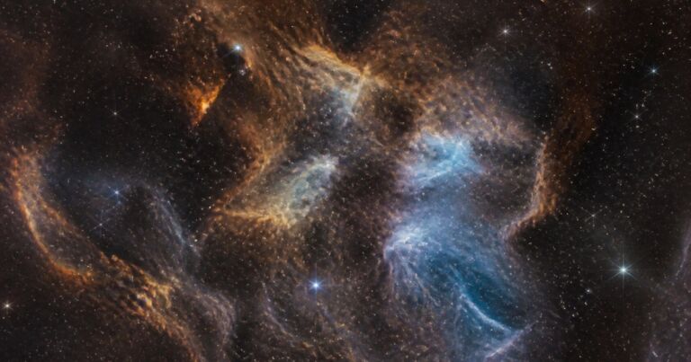ライオン星雲はなぜ吠えるように見える　Webb画像の色と構造